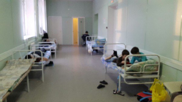 Новосибирец пожаловался на тараканов в детской больнице